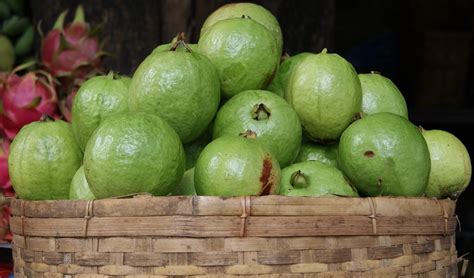9 Amazing Benefits Of Guava | Popular Types Of Guava Fruit