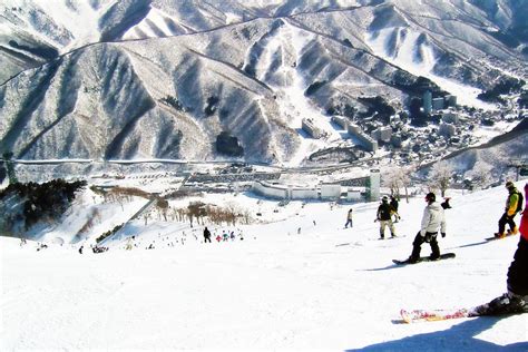 Kagura Ski Resort: The Best Gigantic Japanese Snow Powder Heaven - Otashift