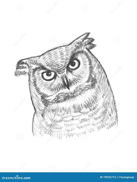 A pencil sketch of an owl stock illustration. Illustration of closeup - 19932715