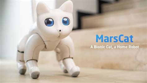 MarsCat Robotic Cat Kickstarter | Apartment Therapy