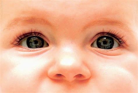 Baby Eye Color: What Color Eyes Will My Baby Have?