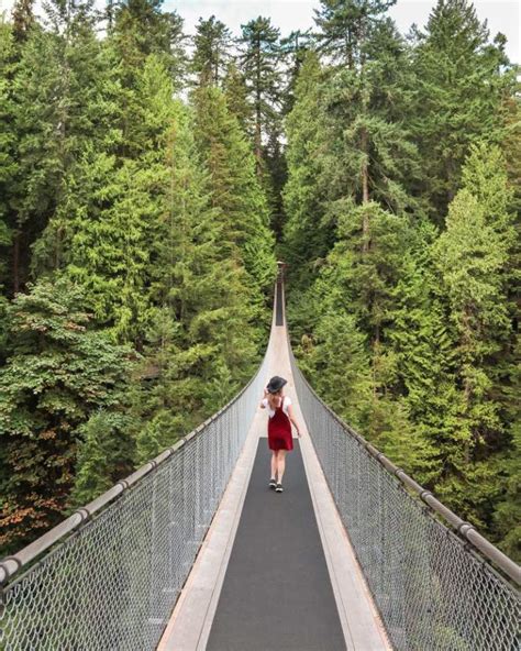 A Complete Guide to Capilano Suspension Bridge Park in Vancouver