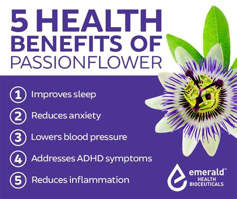 5 Health Benefits of PASSIONFLOWER | Passion flower, Herbal healing, Passion flower benefits