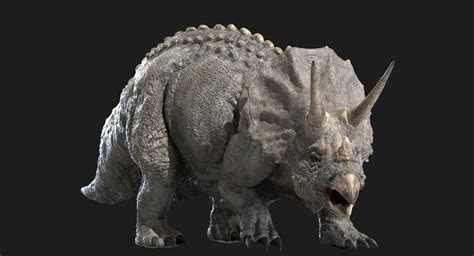 Triceratops (Rigged) 3D model | 3d model, Rigs, Model