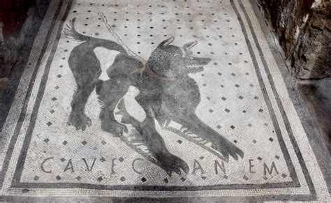 History of Pompeii From Its Rise Until the Devastating Destruction in 79