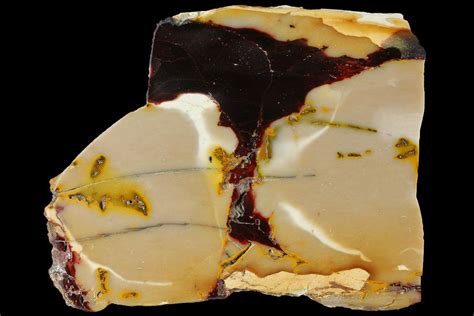 4.8" Polished Mookaite Jasper Slab - Australia (#110270) For Sale - FossilEra.com