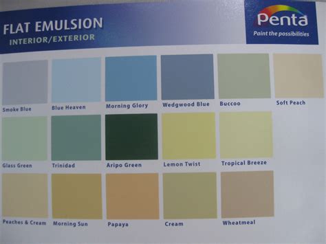 Penta Flat Emulsion Gallon (Assorted Colours) – Yee Ken Hardware