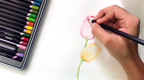 Easy tulip pencil color tutorial | beginner’s pencil color tutorial ...