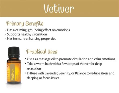 How To Use Vetiver Essential Oil | Vetiver essential oil, Vetiver essential oil uses, Essential ...