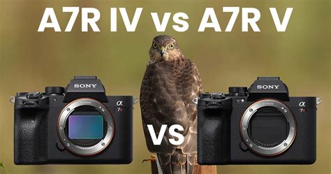 Sony A7R IV vs A7R V – Detailed Comparison - Alpha Shooters