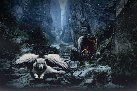 Devil Wolf And Angel Wolf Wallpapers - Wallpaper Cave