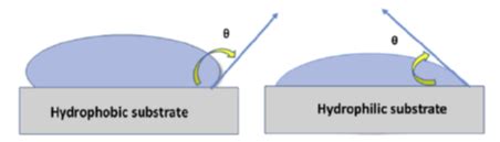 Hydrophilic Examples