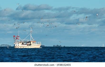 5,356 Denmark fishing Images, Stock Photos & Vectors | Shutterstock