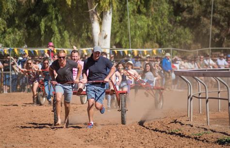 The 2017 Alice Springs Camel Cup - Racheal Christian Photography