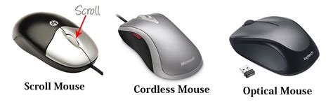 Types Of Computer Mice at richardjbatten blog