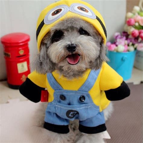 Pet Cosplay Costume Suit Roupas para cães Filhote de cachorro Roupas uniformes | Shopee Brasil