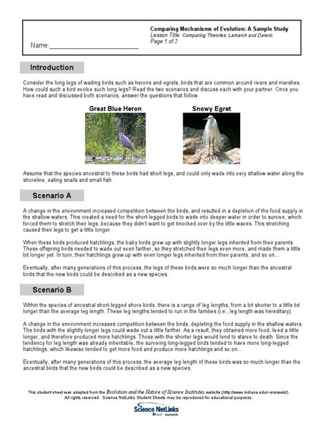 Darwin vs Lamarck worksheet.pdf | Charles Darwin | Evolution