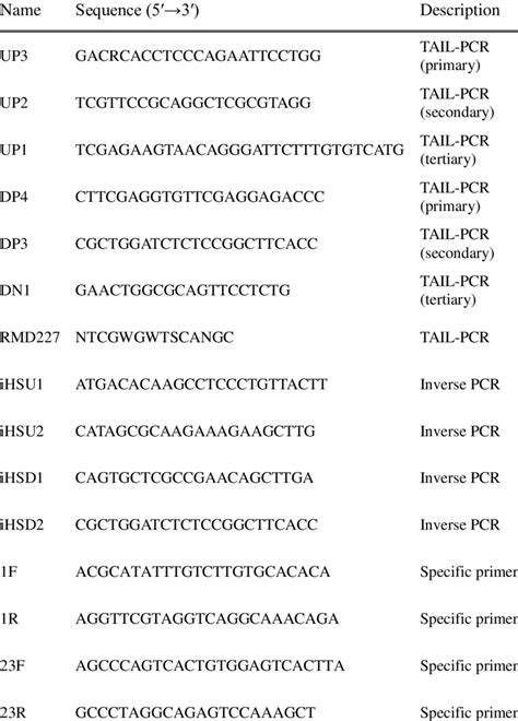 -1. Sequences of oligonucleotides used in this study. | Download Table