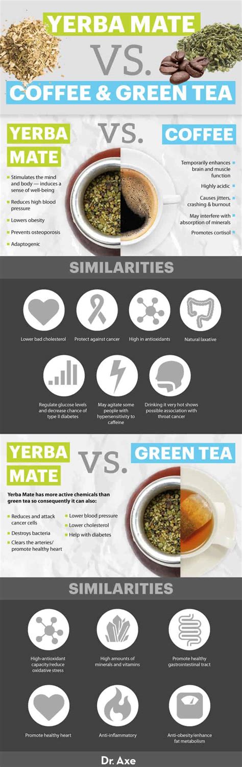 Yerba Mate Benefits, How to Make and Side Effects - Dr. Axe