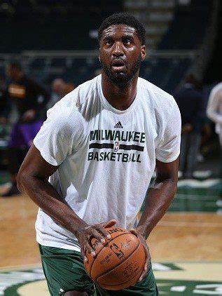 Roy Hibbert | NBA Shoes Database