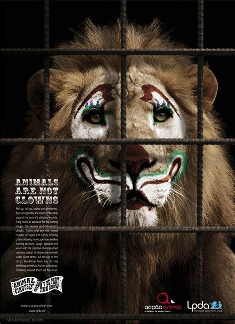 Save Animals Zoo Animal Ad 8 - Full Image