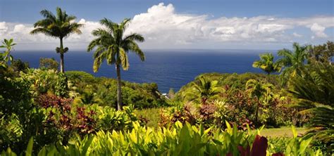 Maui Garden of Eden | Maui Beach Resort