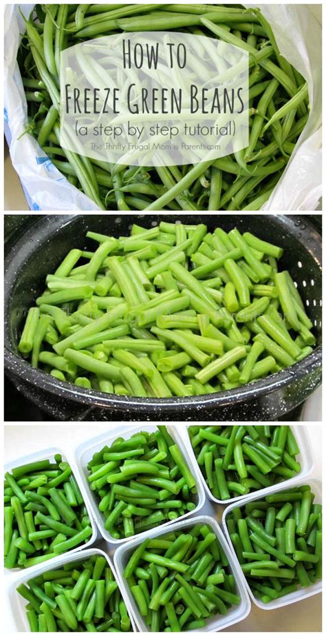 How To Freeze Green Beans | Freezing Green Beans - Image to u