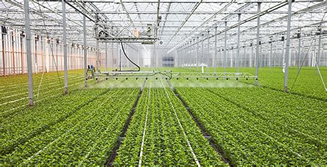 LTE Cat 1 Modem - Application in Smart Agricultural Greenhouses