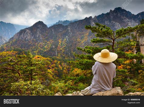 Buddhist Monk Image & Photo (Free Trial) | Bigstock