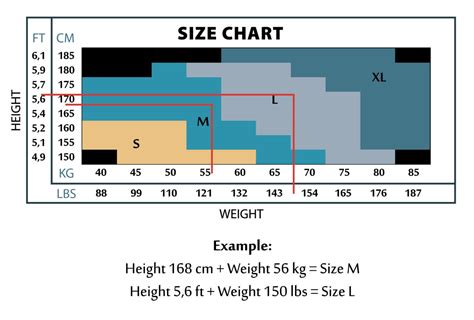 Ted Hose Size Chart For Women