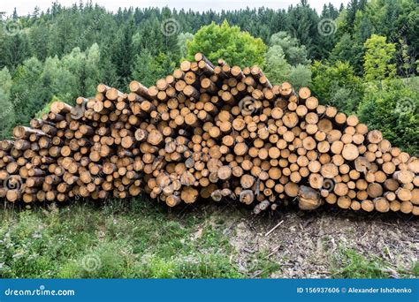 Wood timber logs in a pile stock photo. Image of industry - 156937606