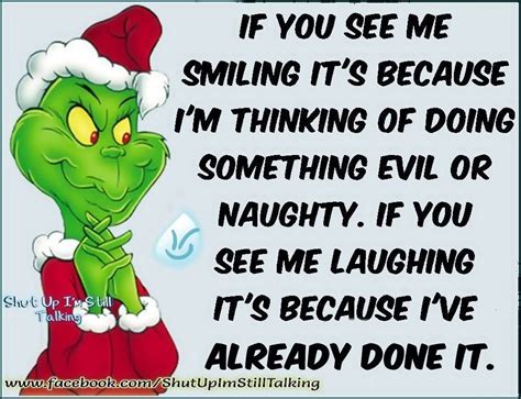 Funny Grinch Christmas Quote Pictures, Photos, and Images for Facebook ...