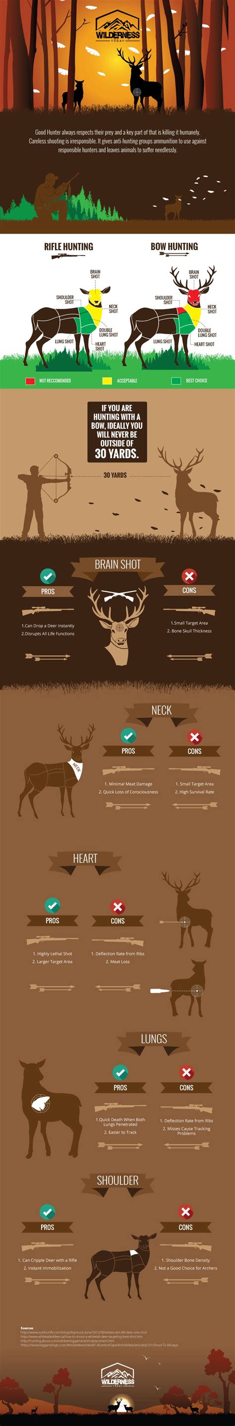 Where to Shoot A Deer: Aiming For The Best Kill Zone Shot Placement