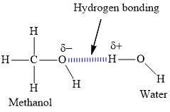 Water Molecules And Hydrogen Bonding