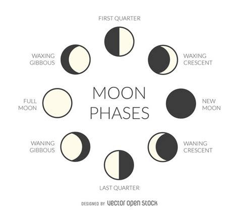 Moon phases and seasons | Earth Sciences - Quizizz