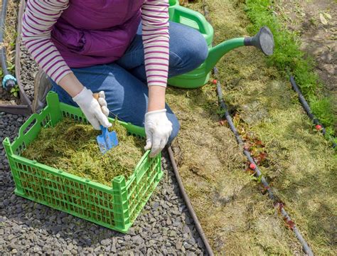 The Best Mulch For Your Flower Beds