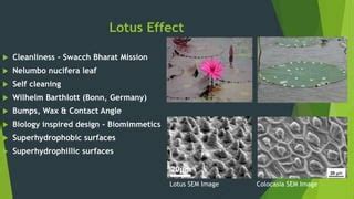 Lotus Effect in Nanotechnology | PPT