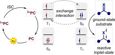 Schematic representation of the Dexter energy transfer mechanism. ISC:... | Download Scientific ...