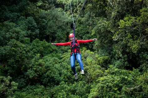 Best in Rotorua - Review of Rotorua Canopy Tours, Rotorua, New Zealand - Tripadvisor