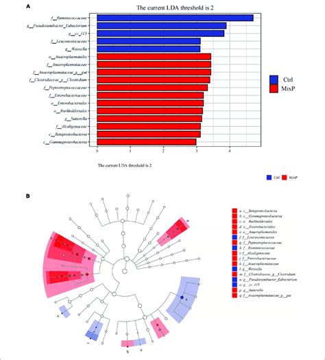 | Comparison of microbial variations at the each level, using the LEfSe... | Download Scientific ...