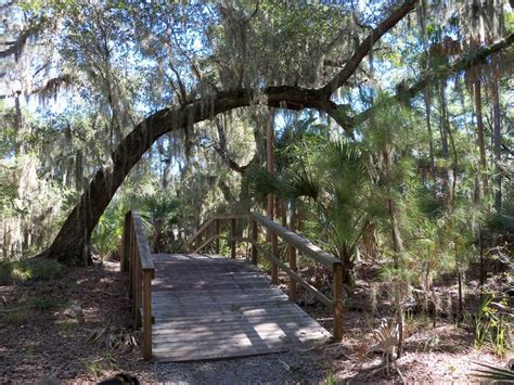 Skidaway Island State Park, Savannah, GA one of my favorite places to spend a day at. | Skidaway ...