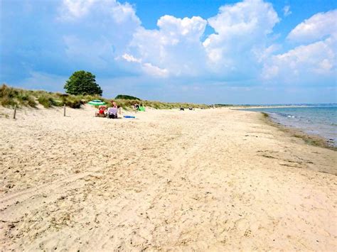 Studland - Knoll Beach - Dorset | UK Beach Guide