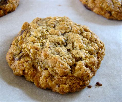 Best Low Calorie Oatmeal Cookies – Easy Recipes To Make at Home