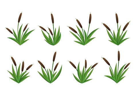 Set Of Cattails Vector 127110 Vector Art at Vecteezy