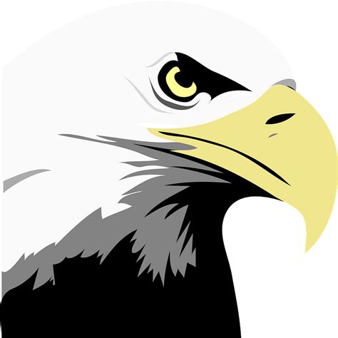 Bald eagle face clipart. Free download transparent .PNG | Creazilla