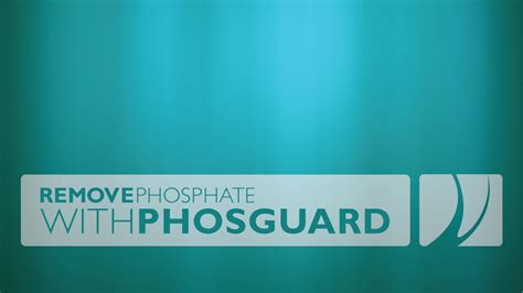 Remove Phosphate with PhosGuard (without media reactor) - YouTube