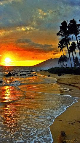 Sunset At The Beach GIFs - Find & Share on GIPHY