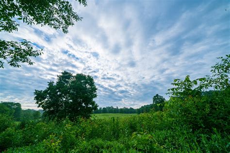 Rachel Carson Conservation Area in Maryland | Danielle Brigida | Flickr