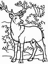 Free Printable Elk Coloring Pages  Coloring Nation sketch template