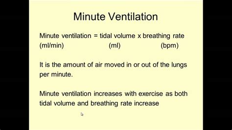 Lungs 2; Spirometer trace and Minute Ventilation - YouTube